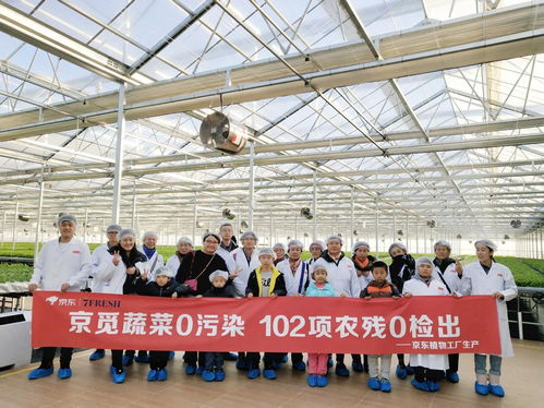 高端蔬菜與農(nóng)業(yè)科普知識兩手抓，京東植物工廠打造健康生活新方式