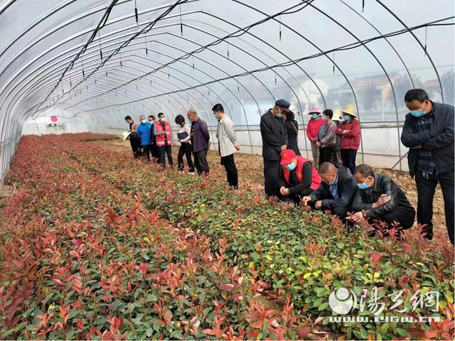 岐山縣科協(xié)組織開展科技志愿服務(wù)系列活動(dòng)，助力農(nóng)業(yè)園藝發(fā)展