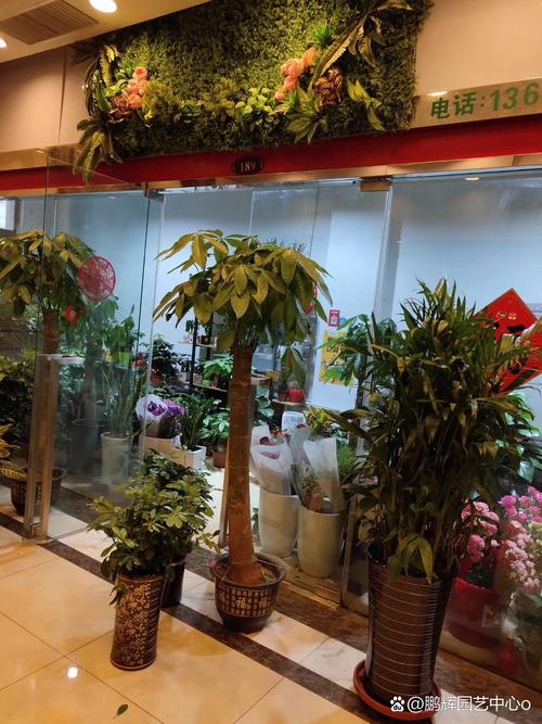 園藝專業(yè)多元就業(yè)路徑 從種植到服務(wù)的職業(yè)前景探索