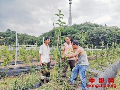 青年教師不能做服務(wù)&ldquo;三農(nóng)&rdquo;的局外人